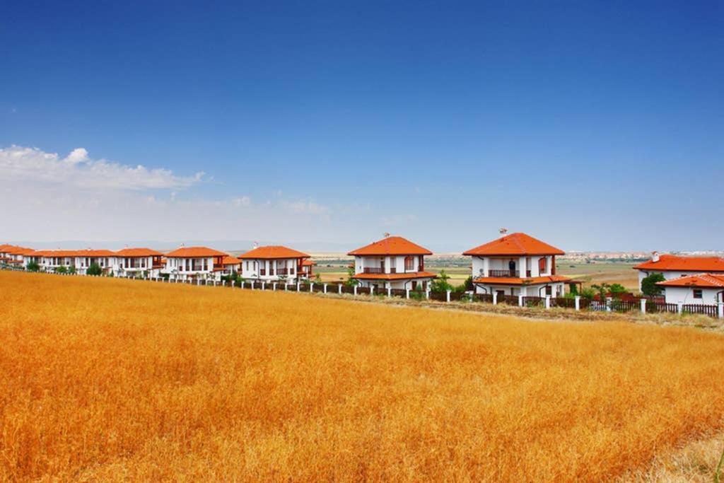 Generaator House Villa Aheloy Exterior photo